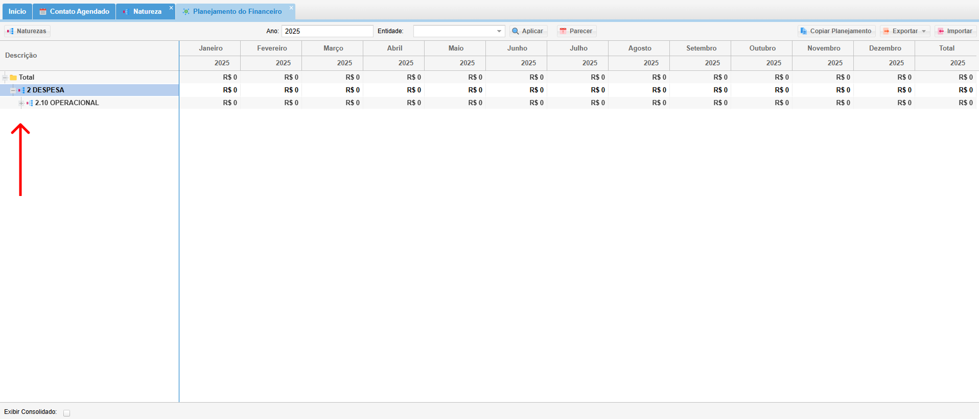 Captura de tela 2025-07-14 103640 1.png