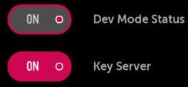 Tela Developer Mode com marcacoes IP Passphrase Dev Mode e Key Server
